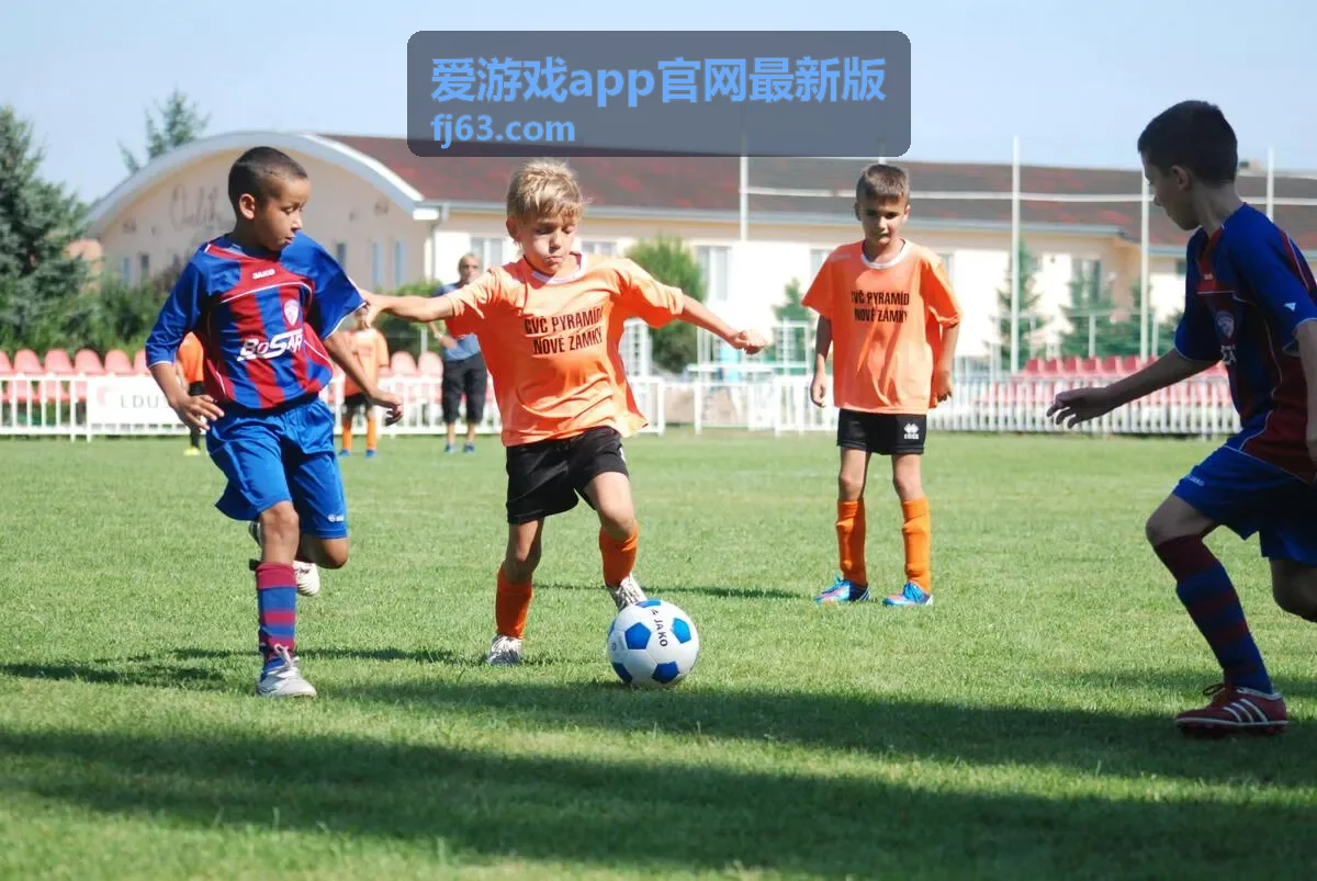 爱游戏app官网最新版版本号对照方式