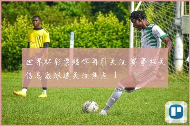 世界杯彩票赔律再引关注 赛事相关信息成球迷关注焦点_1