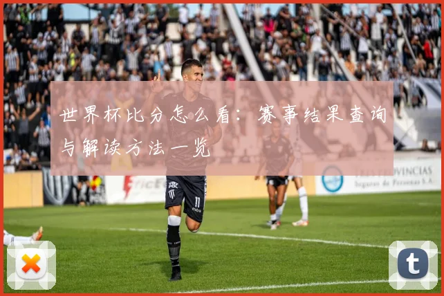 世界杯比分怎么看：赛事结果查询与解读方法一览